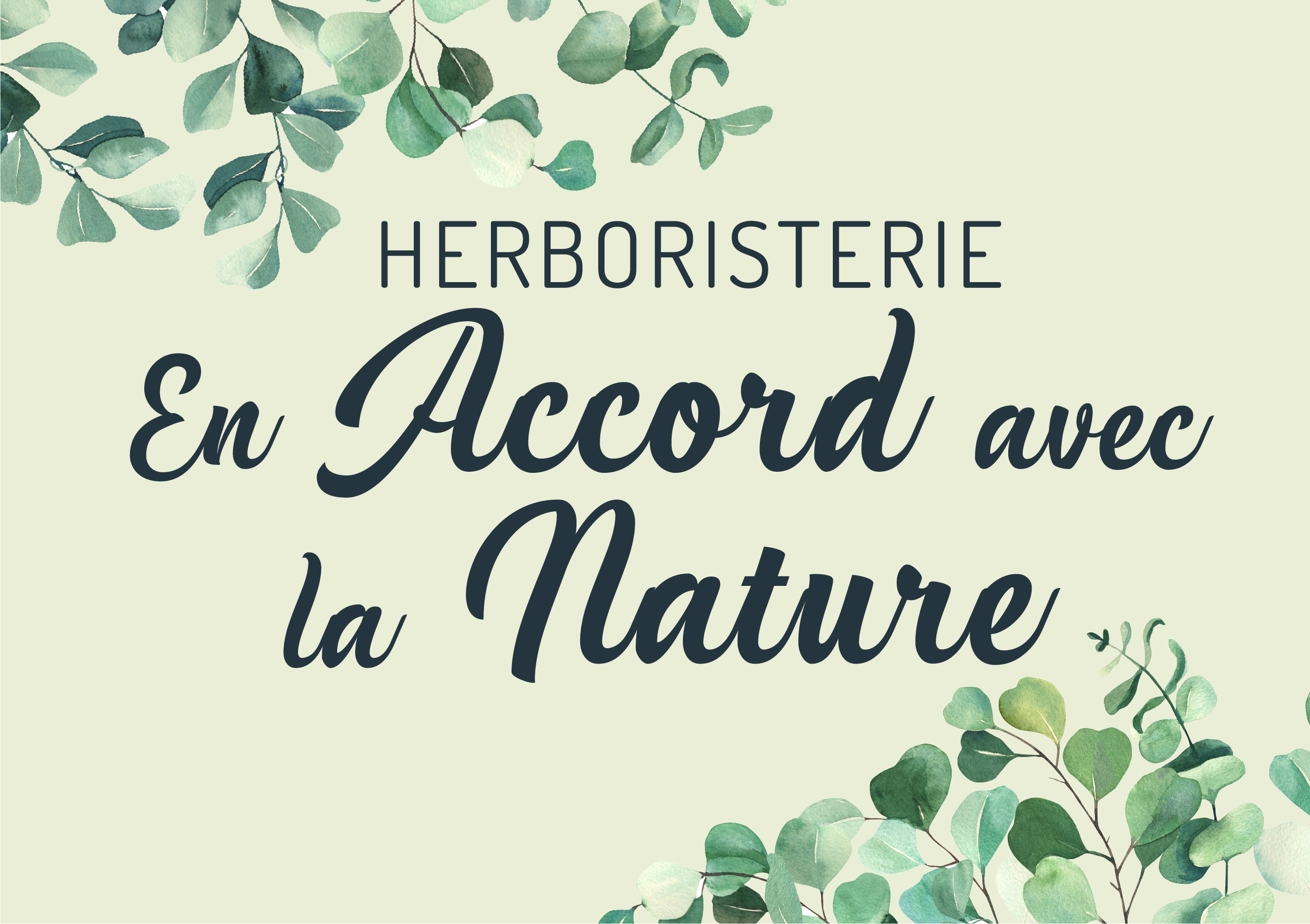 herboristerie béthune