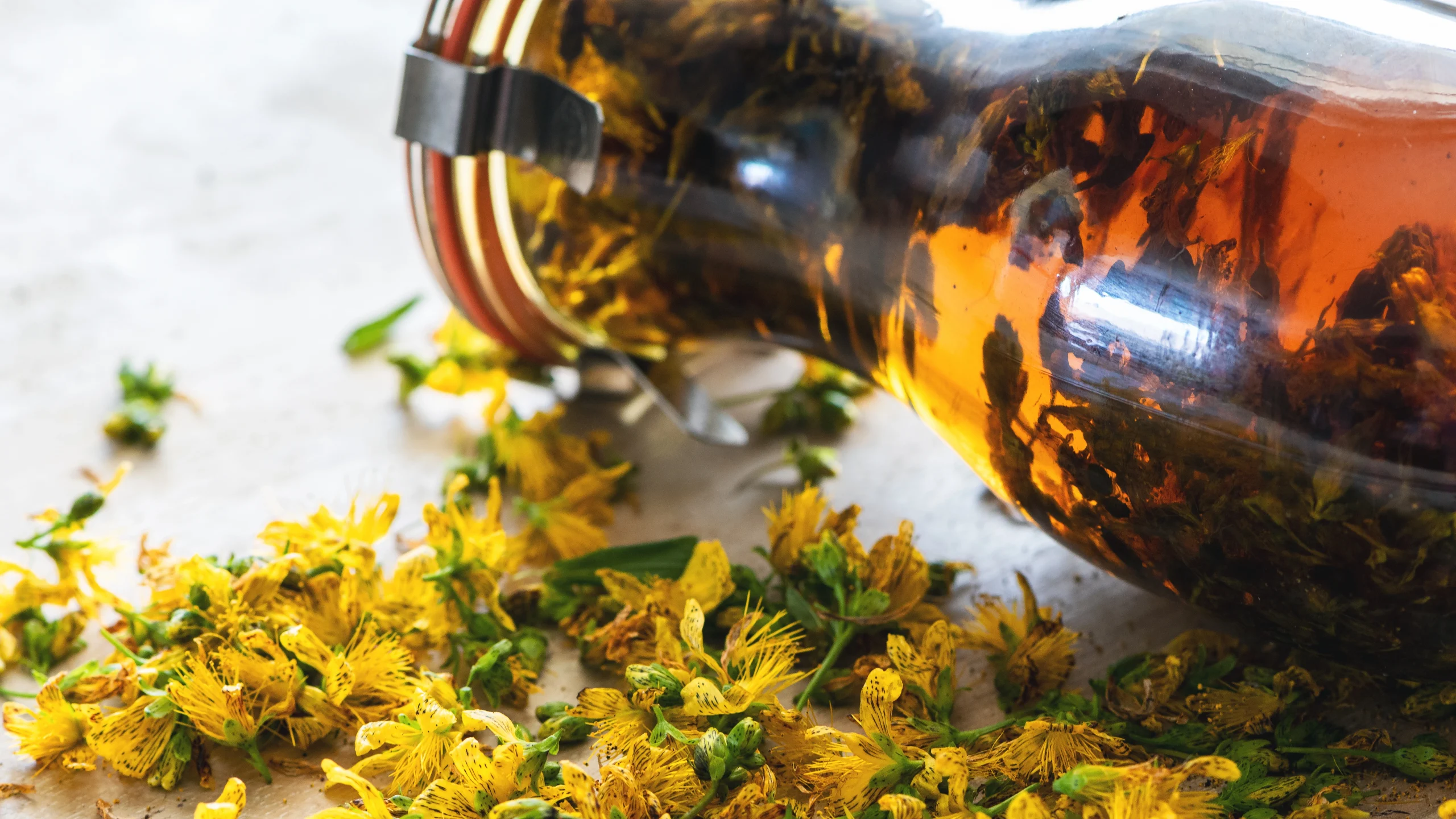 Conseils en Phytothérapie et Produits Naturels à Béthune