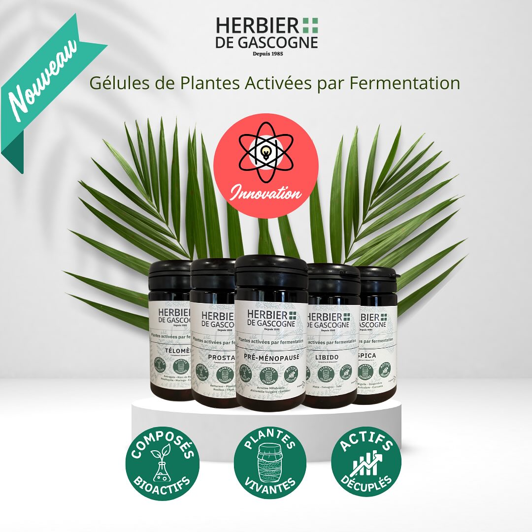 herbier de gascogne à béthune