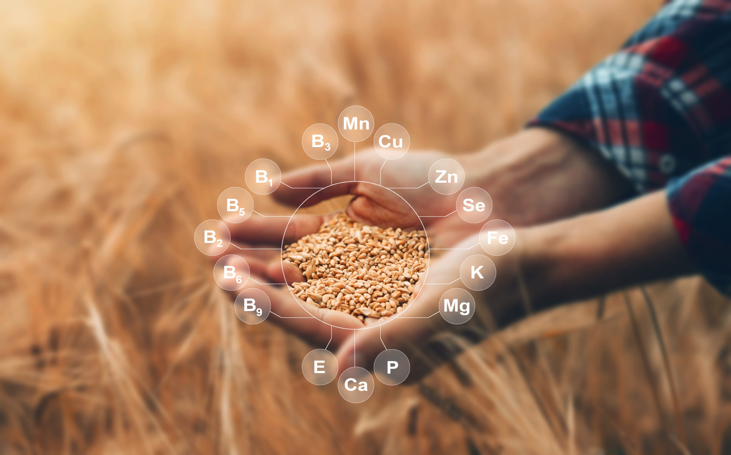 compléments alimentaires à béthune