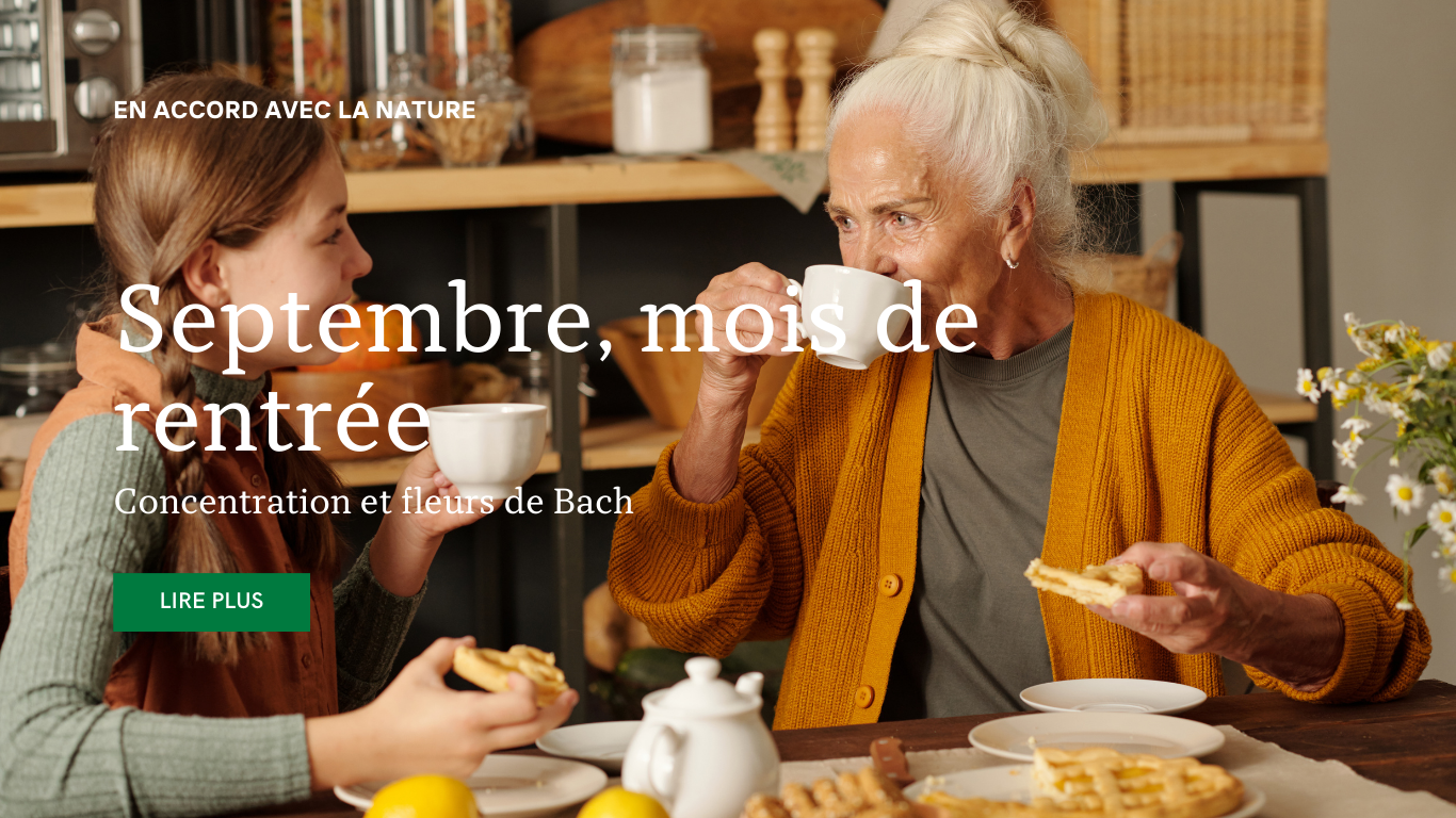 Lire la suite à propos de l’article Septembre, mois de rentrée : Concentration et fleurs de Bach