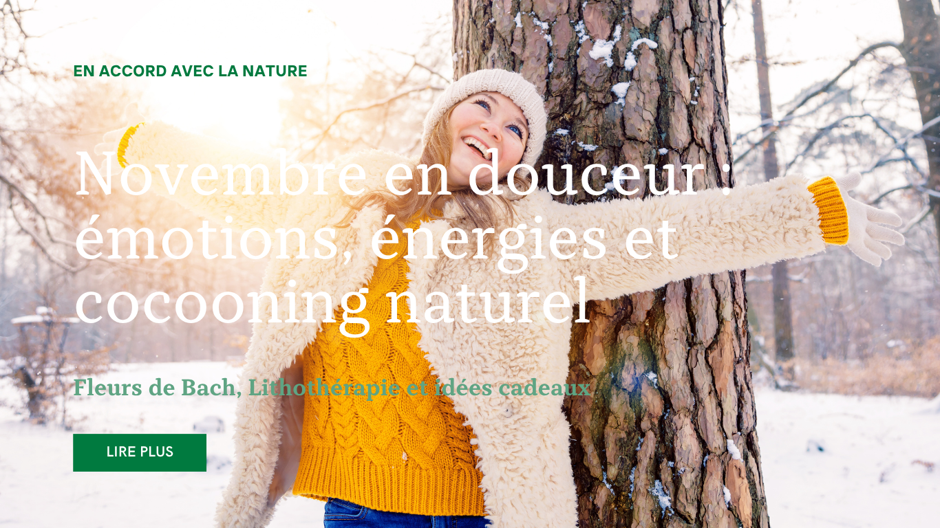 Lire la suite à propos de l’article Novembre en douceur : émotions, énergies et cocooning naturel