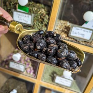 Cynorrhodon séché – Source naturelle de vitamine C