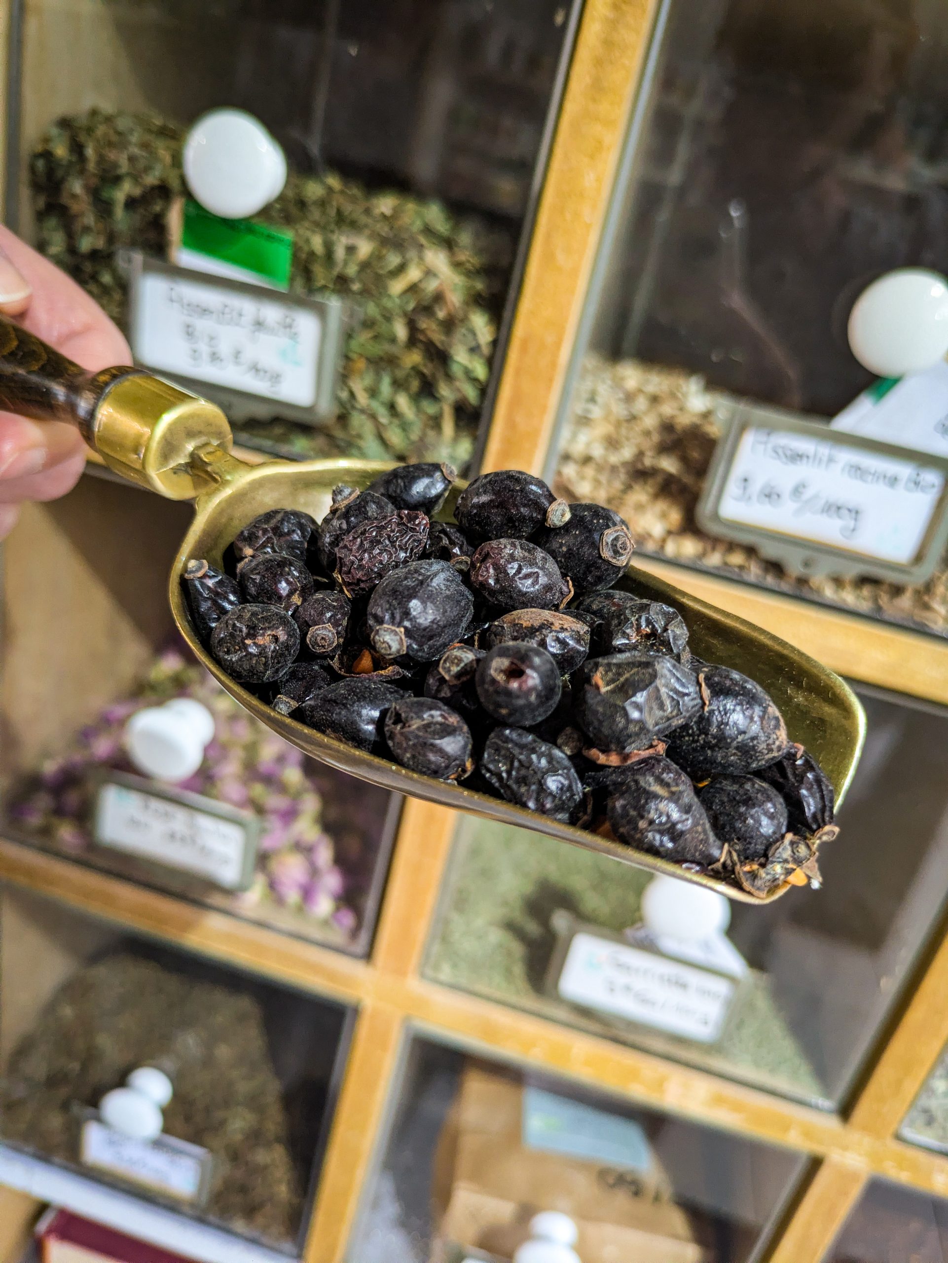 Cynorrhodon séché pour infusion et tonus naturel