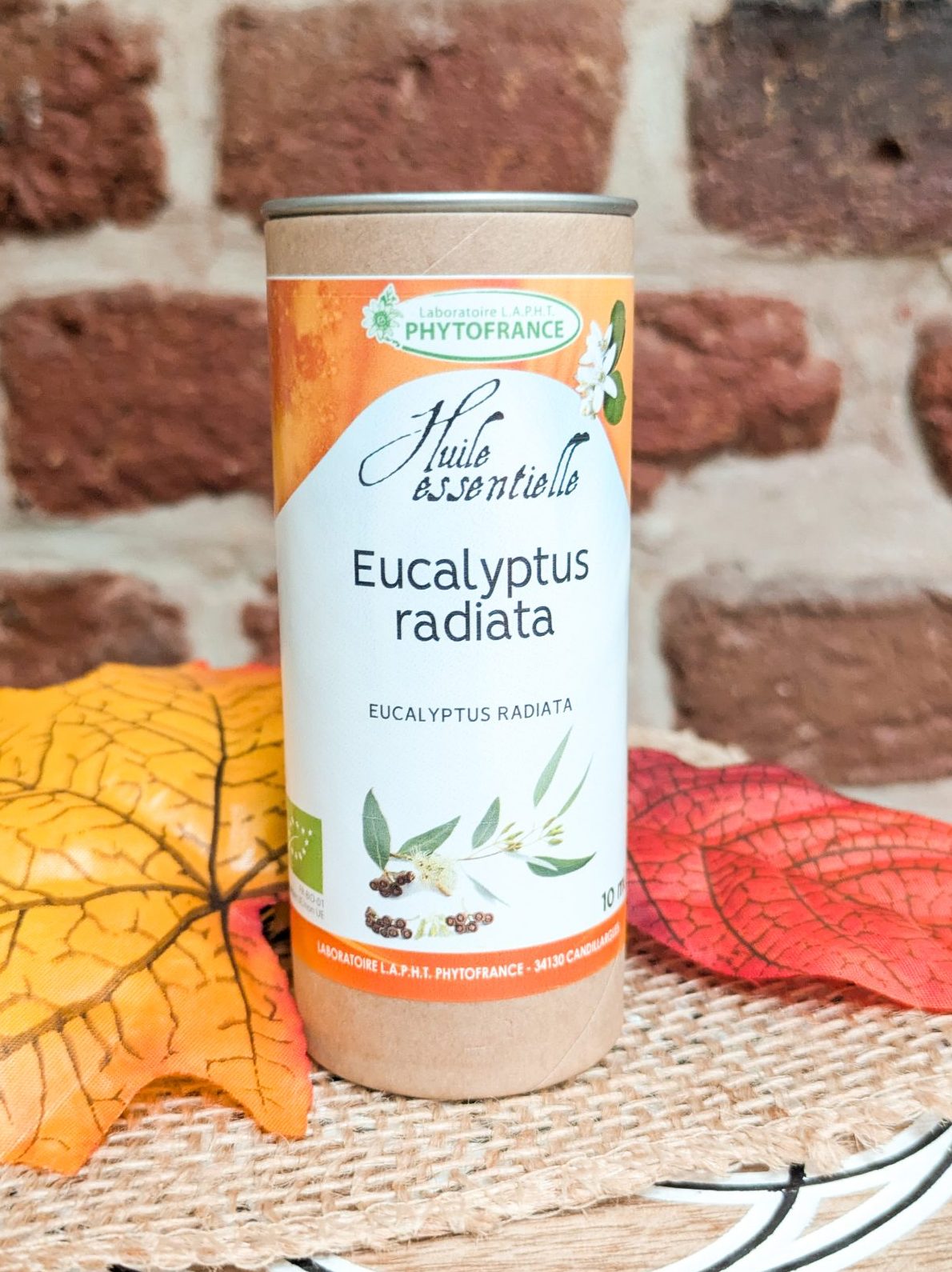 Huile essentielle Eucalyptus Radiata – PhytoFrance