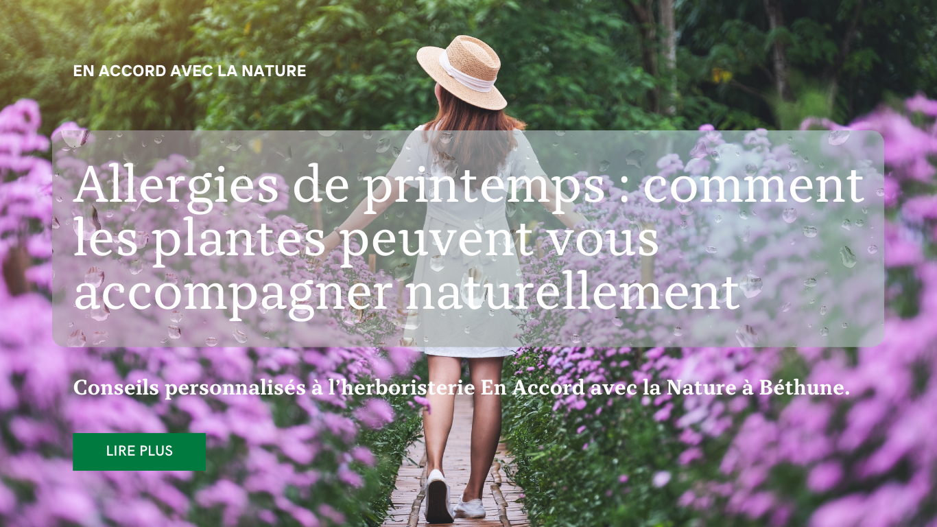 Lire la suite à propos de l’article Allergies de printemps : comment les plantes peuvent vous accompagner naturellement