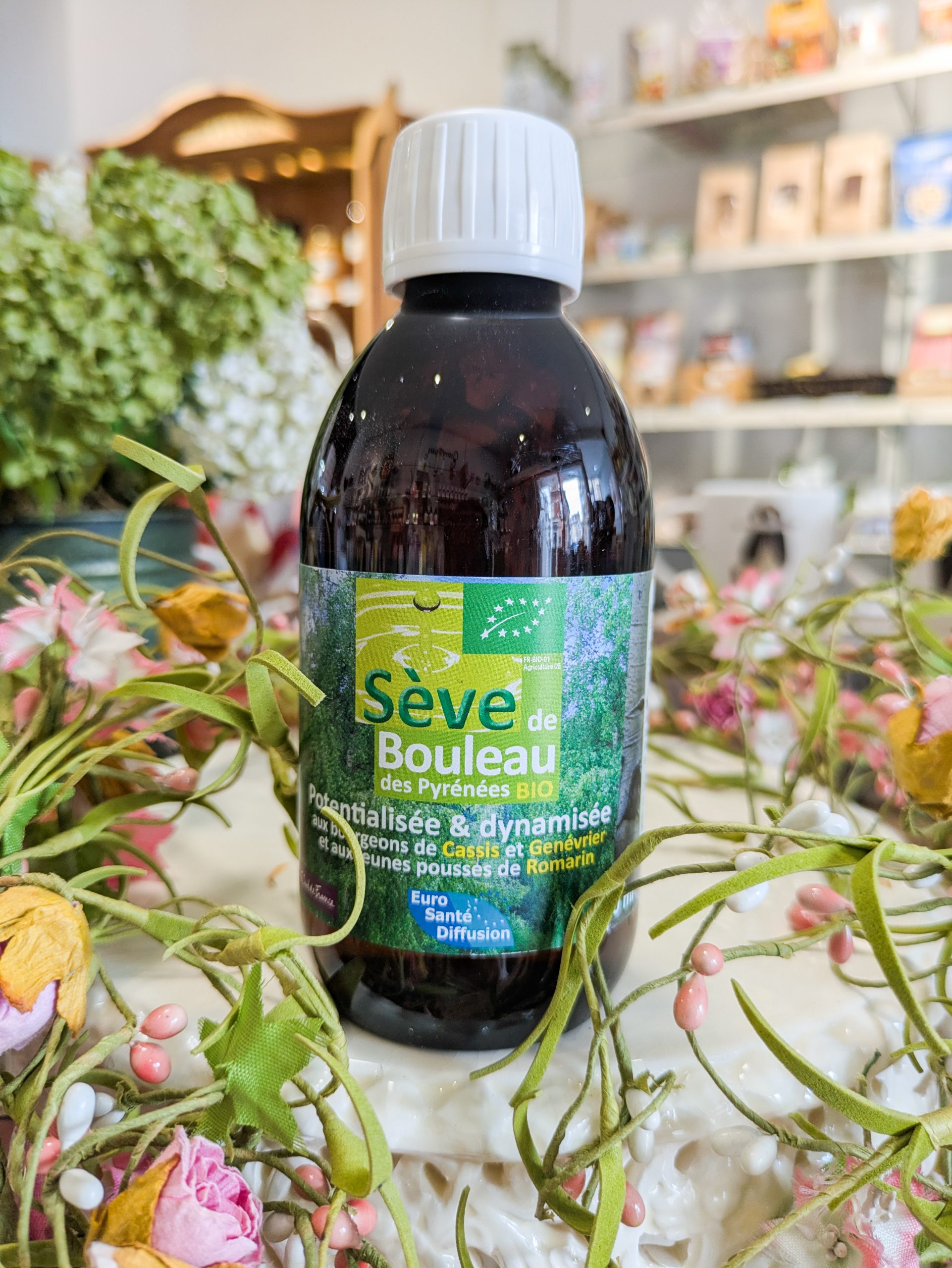 seve bouleau bio phytofrance herboristerie bethune